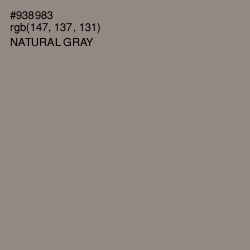 #938983 - Natural Gray Color Image